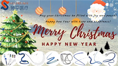 Buon Natale e felice anno nuovo!